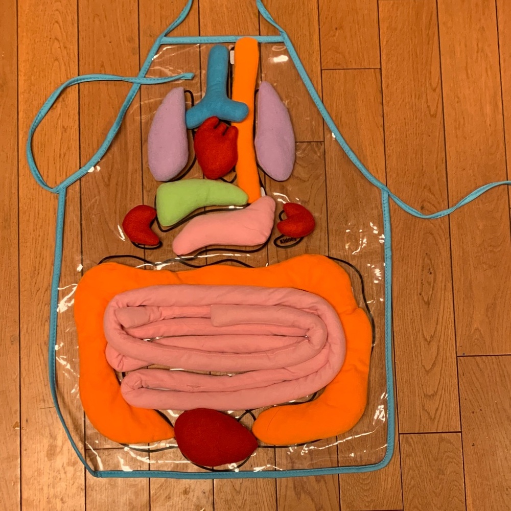 Anatomy Apron for Kids - Multicolor Learning Toy